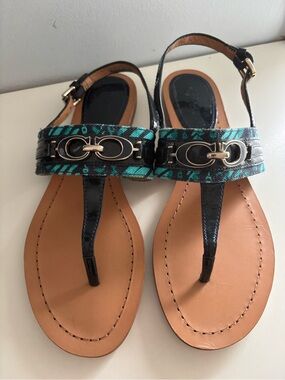 Coach Teal & navy T-Strap Logo Sandals